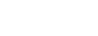 Holosun